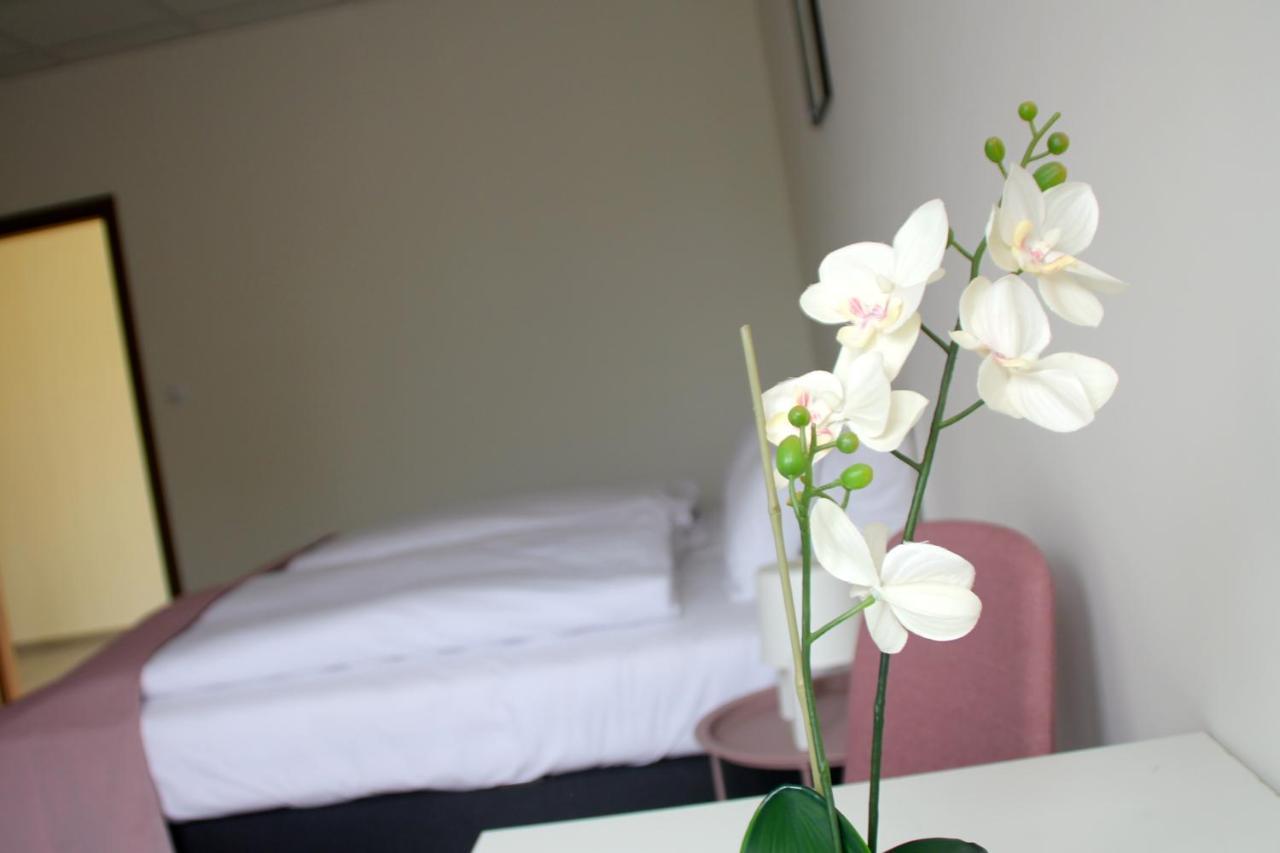 Bed and Breakfast Vecsesi Rendezvenykoezpont Es Panzio Exteriér fotografie
